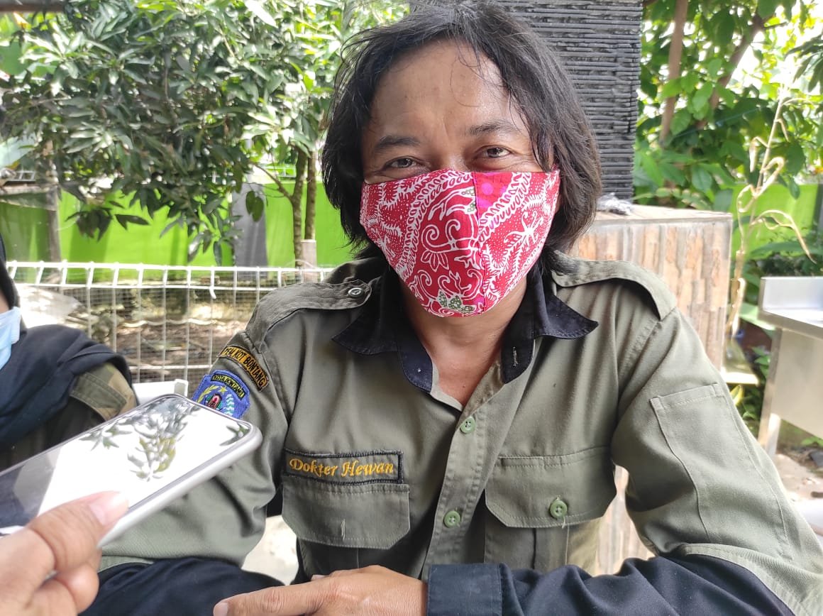Sebelum Diberi Vaksin Rabies, Hewan Peliharaan Harus Diperiksa